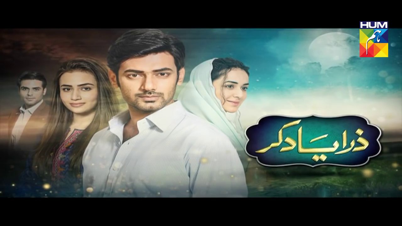 Zara Yaad Kar OST By | Rahat Fateh Ali Khan | Hum Tv