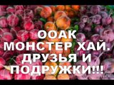 ООАК МОНСТЕР ХАЙ Друзья и подружки! OOAK MONSTER HIGH Friends and girlfriends!