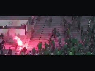 مؤثر جداً جماهير الرجاء البيضاوي