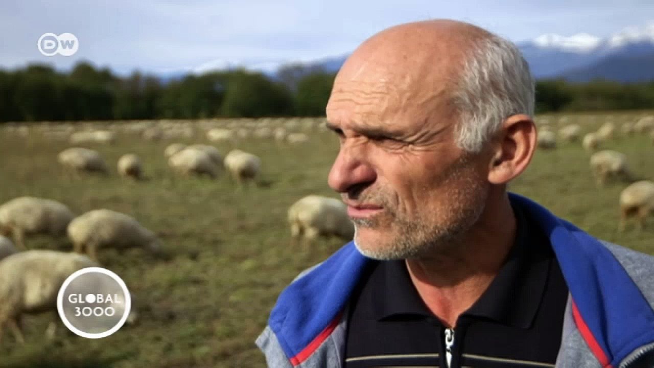 Mein Liebling, der Owtscharka  | Global 3000