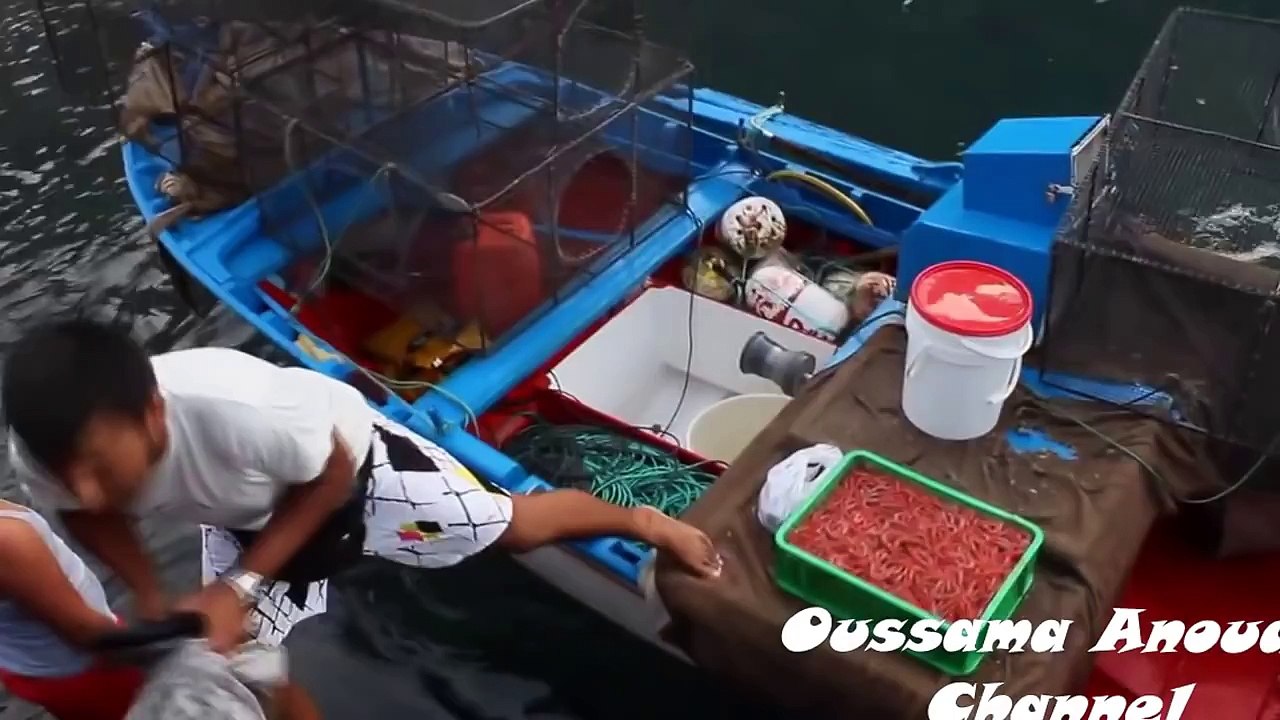 This Man Plays With A Strange New Friend. When I Realized What It Was My Jaw Dropped