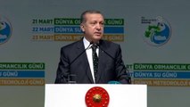 Erdoğan: 