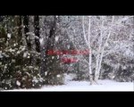 Franco Micalizzi - L'ultima Neve Di Primavera