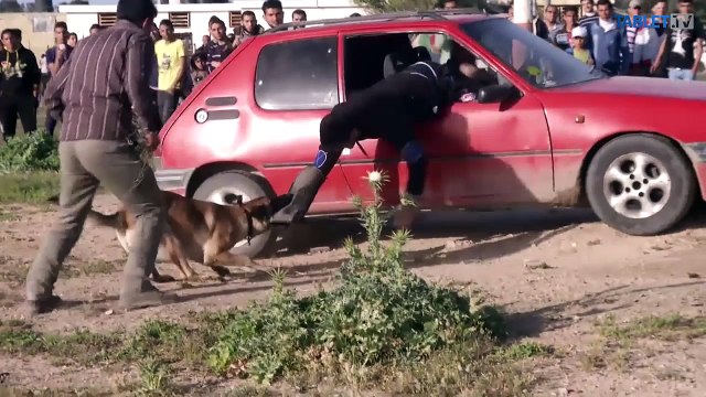 160312-402-012_UTULKOVO_20160321