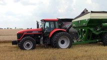All AGCO Wheat Harvest with a Gleaner S78
