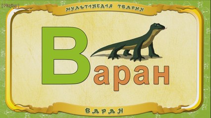 Мультіпедія тварин. Літера В - Варан