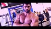 -Aesthetic Monsters- Bodybuilding And Fitness Motivation