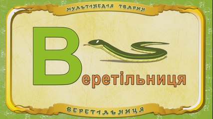Мультіпедія тварин. Літера В - Веретільниця
