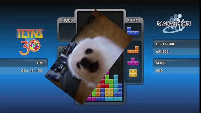 YTPMV Tetris Main Theme ( Gabe The Dog Remix ) - Copy