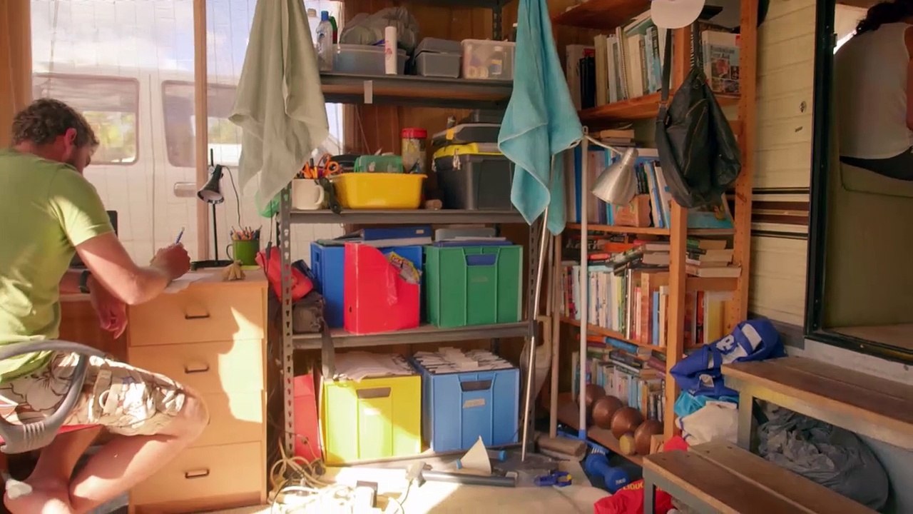 Les Dauphins De Shark Bay