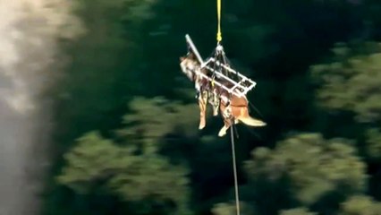 Sauvetage d'un cheval par hélicoptère