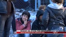 Bushati në Athinë për emigrantët - News, Lajme - Vizion Plus