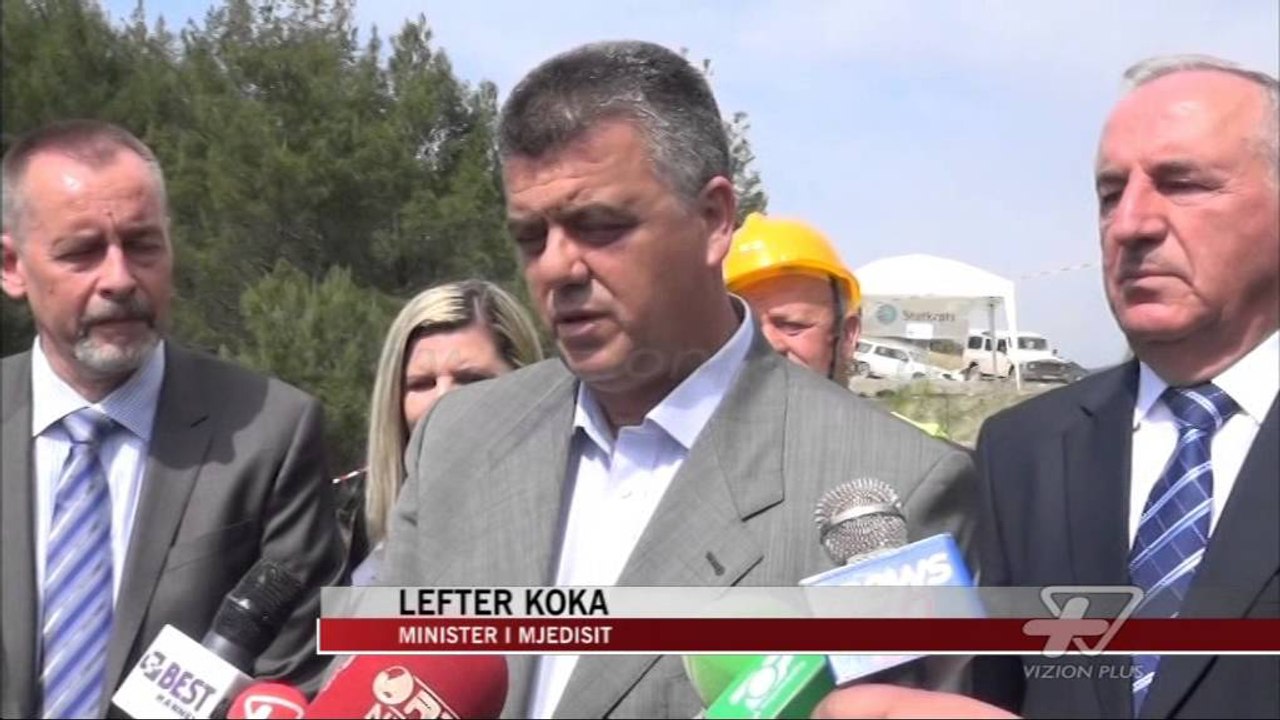 Dëme të mëdha nga procesionarja - News, Lajme - Vizion Plus