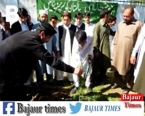 21 March world  Forest Day Devisional Forest Officer Hayat Ali  Bajaur Agency Report by Qyass Khan