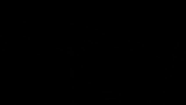 Свадебная прогулка, видеосъёмка свадеб в Краснодаре