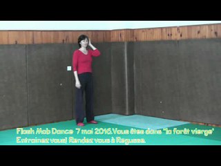 flashmob Mini Boun', 7 Mai à Régusse