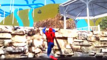 Spiderman Songs Nursery ♪ Down by the bay ♪ Disney Songs Nursery Rayo MCQUEEN
