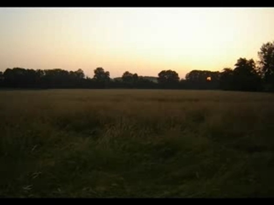 un petit coin de paradis