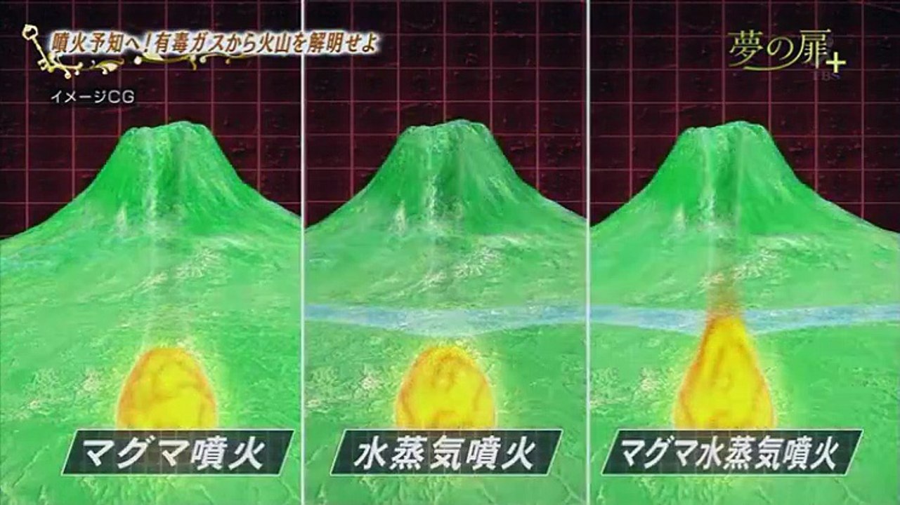 夢の扉＋