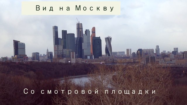 Вид на Москву со смотровой площадки