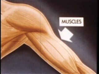 KMFDM - "Stars & Stripes" (2003)