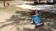 Young Girl Gives Chicken a Tricycle Ride