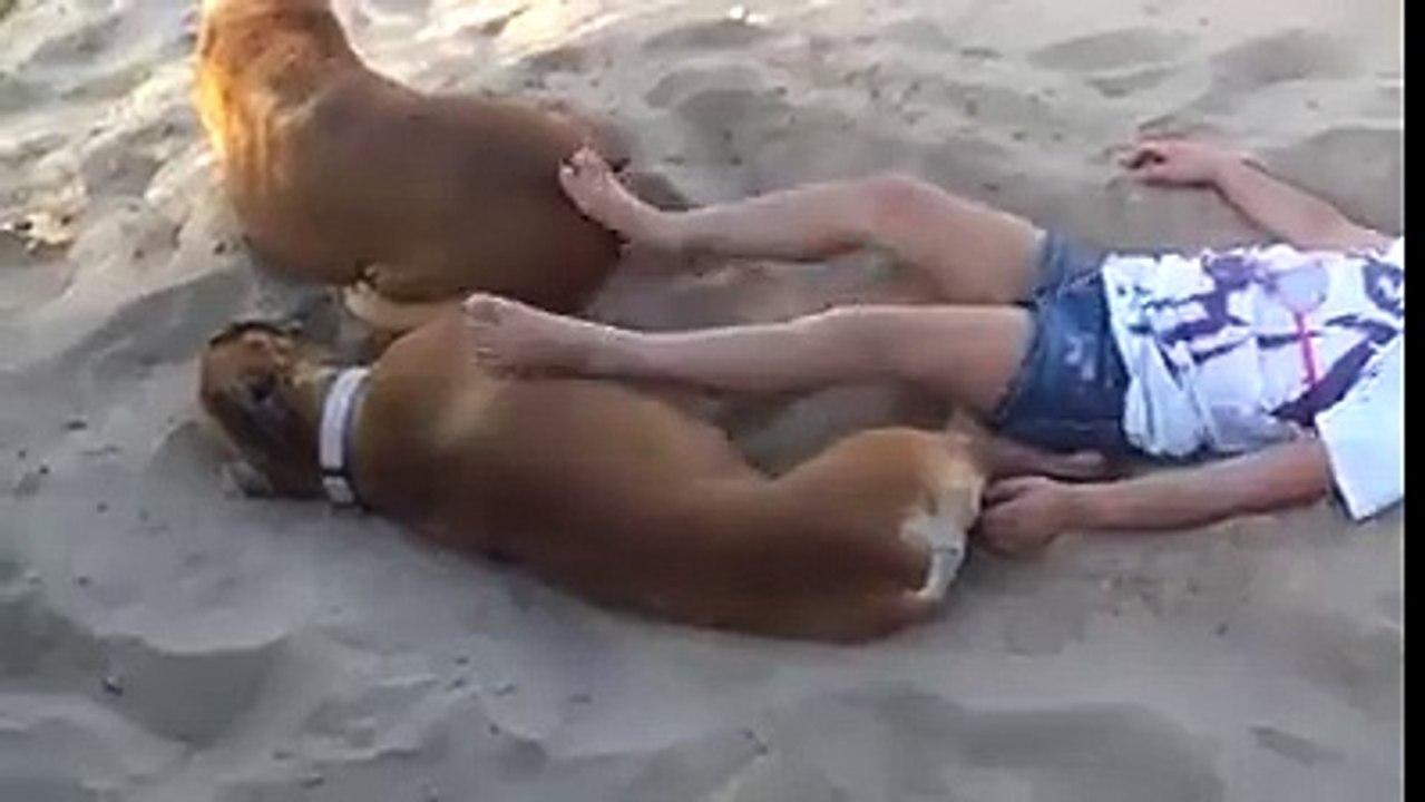 Very Funny VIdeo Must Watch or Share