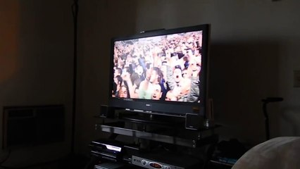 March best of whatsapp video funny Cat Watching Slayer