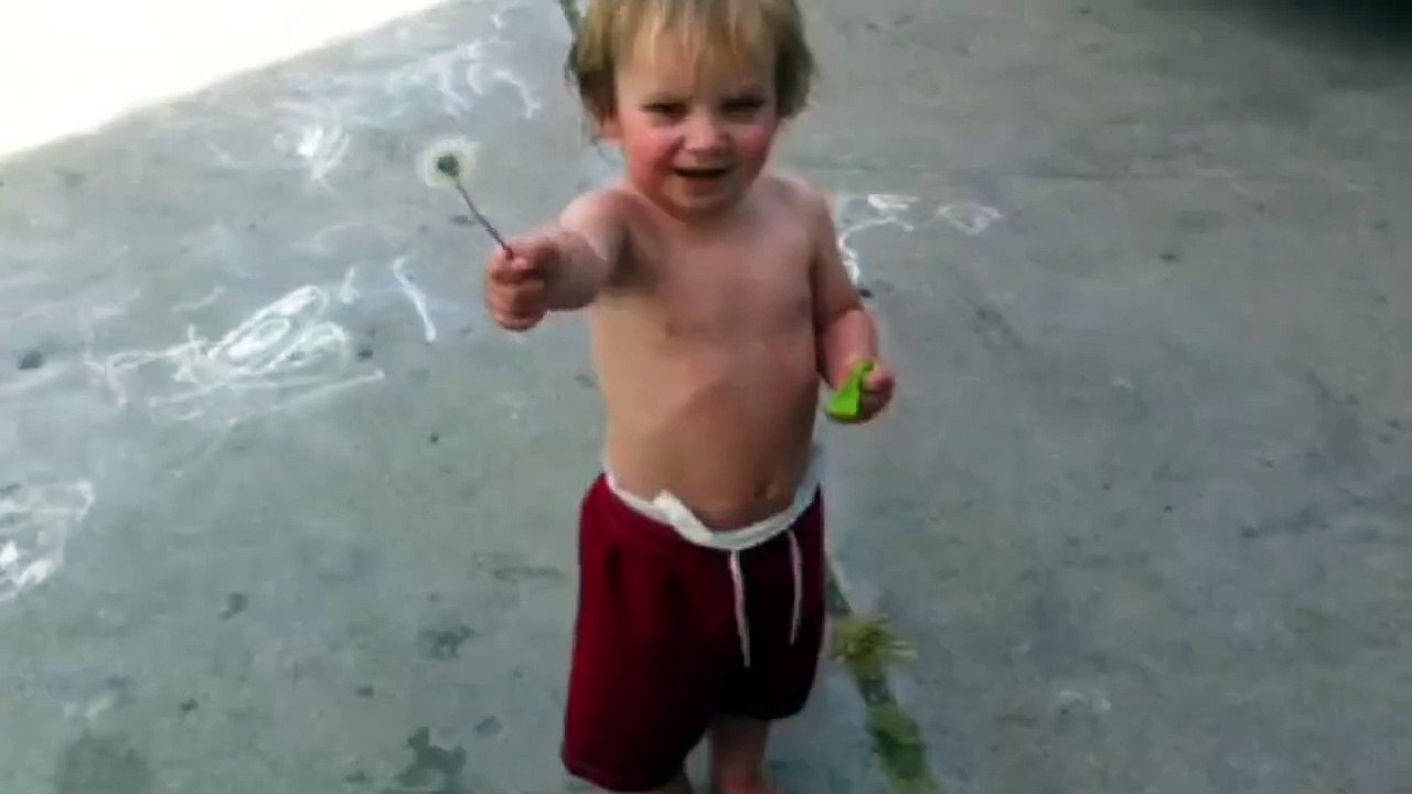 Pas facile de souffler une fleur de pissenlit... Pauvre gamin