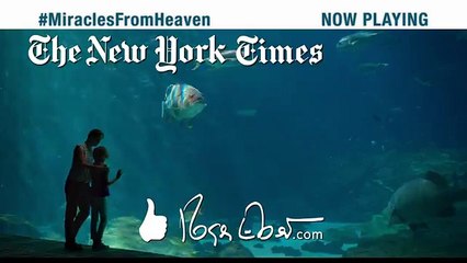 MIRACLES FROM HEAVEN - Audiences Give It An A+