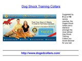 Dog Shock Training Collars