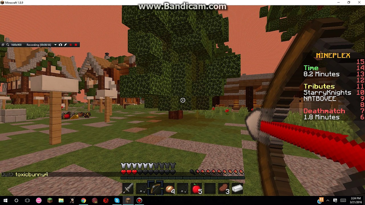 Mineplex Hacker (SG)