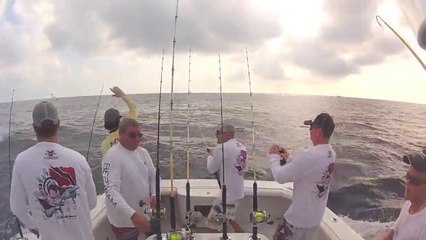Sailfish Jumps in Boat