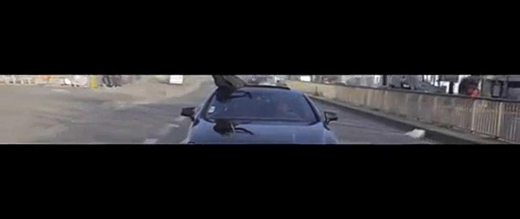 WT - AMG ( WORMS T ) -