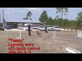 POLICE K-9 DOG TRAINING SEMINAR VIDEO