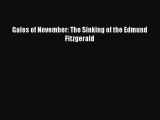 PDF Gales of November: The Sinking of the Edmund Fitzgerald  EBook