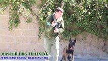 K9 Police Dog Training - Police Tactics