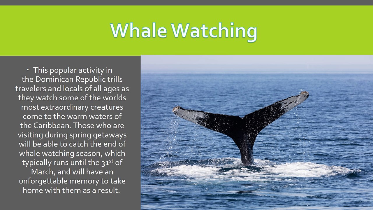 Best Spring Entertainment in the Dominican Republic Shared by Lifestyle Holidays Vacation Club