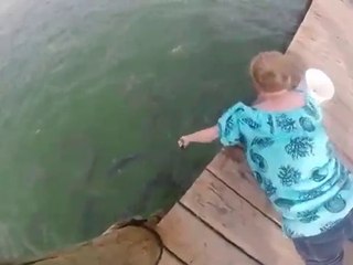 Кормила рыбу и вдруг...!!!