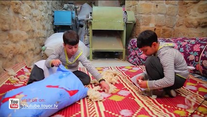 المنجد - عصومي ووليد - طيور الجنة