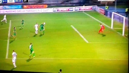 Fabio Ceravolo Goal - Avellino 0-1 Ternana - 21_03_16