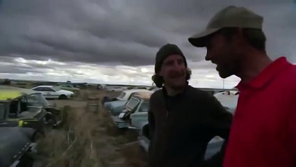 Giant pacific octopus 29