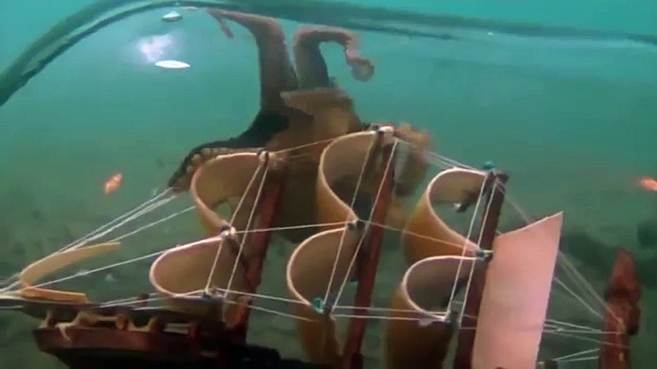 Giant pacific octopus 57
