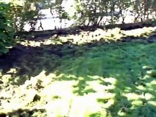 PROJEKT_omläggning gräsmatta_Gröna Bussen