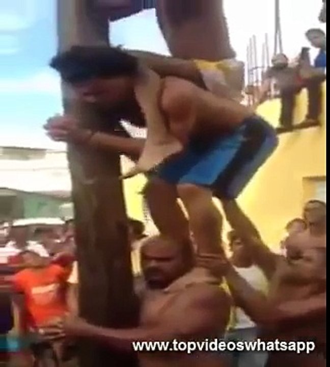 Videos Engraçados - Pau de Sebo WINS