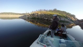 Fishing Australian Natives