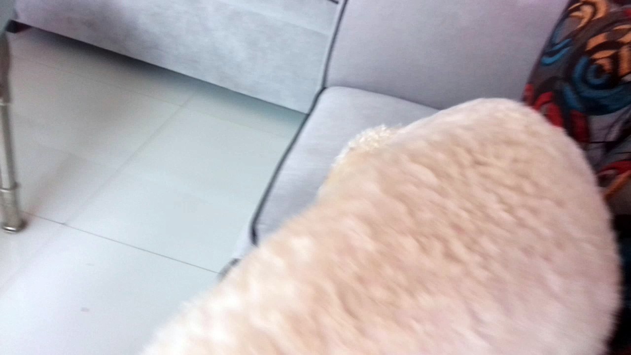 Tito