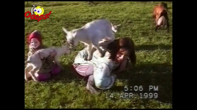 Goats Yelling Like Humans - Super Cut Compilation