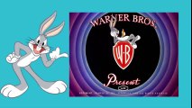 Bugs Bunny Cartoon - Gets The Boid   HD Episode  Bugs Bunny Cartoons