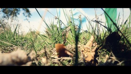 PETER PAN | Lost Boy (Official Music Video) Ruth B